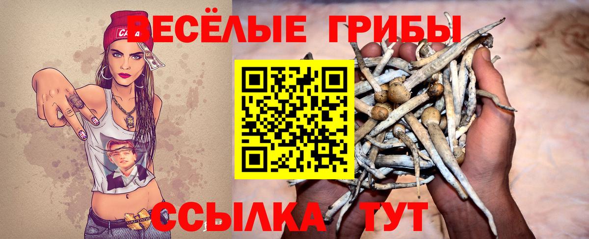 Псилоцибиновые грибы MAGIC MUSHROOMS  Вход с VPN  Тула  Псилоцибиновые грибы Cubensis 